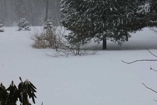 New Camera Dec2010 376